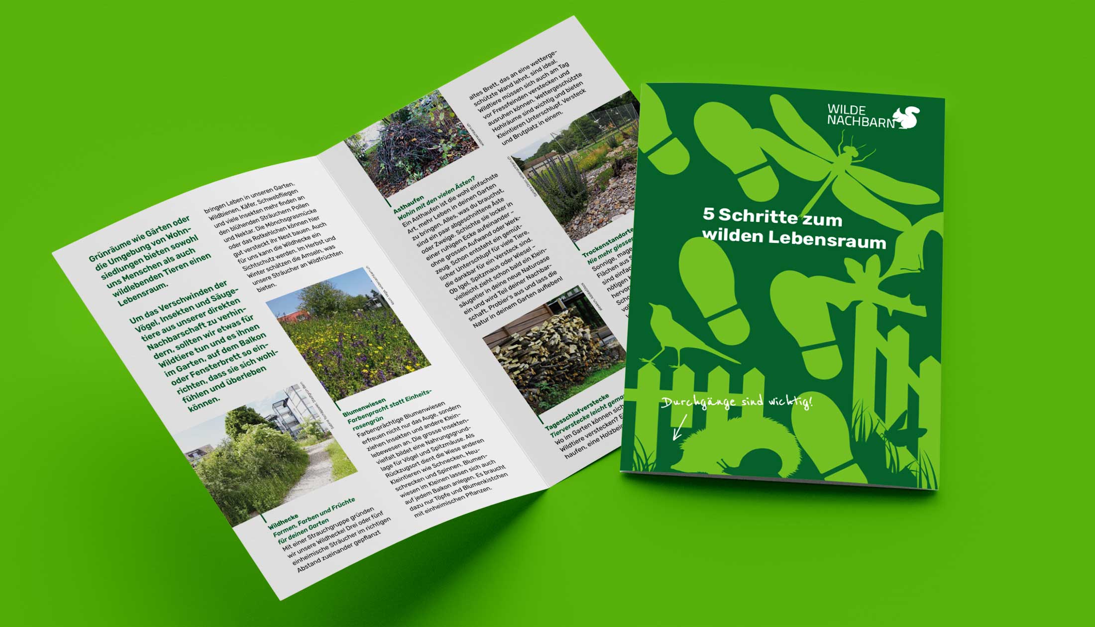 Naturmuseum Solothurn, Flyer, wilde Nachbarn