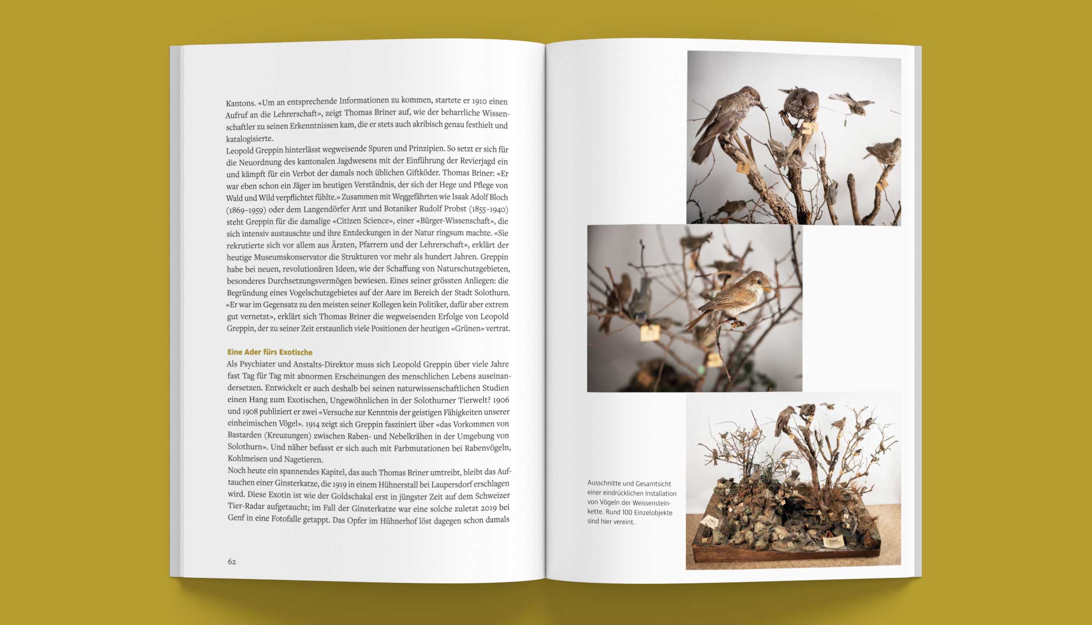 Naturmuseum Solothurn, Buch zum 200 jährigen Jubiläum