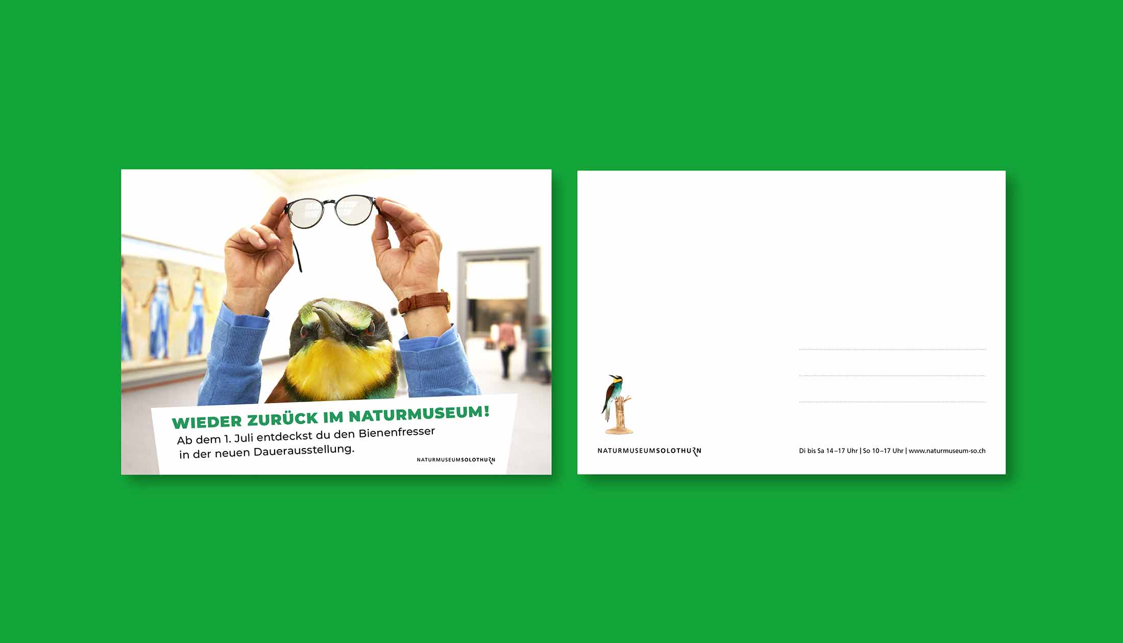 Naturmuseum Solothurn, Postkarte, Dauerausstellung
