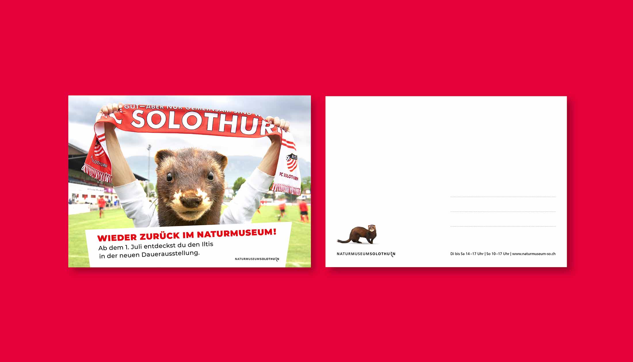 Naturmuseum Solothurn, Postkarte, Dauerausstellung